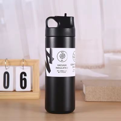 Warm en koud geïsoleerde waterfles 550 ml capaciteit roestvrij staal binnenkant stro deksel