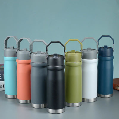550 ml/650 ml buitenwaterfles voor sport met een geïsoleerd ontwerp