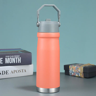 550 ml/650 ml buitenwaterfles voor sport met een geïsoleerd ontwerp