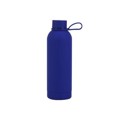 304 roestvrij staal dubbele wand geïsoleerde waterfles perfect voor kantoor auto of thuis