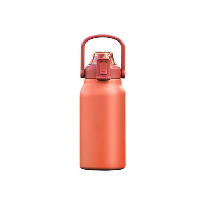 Persoonlijke roestvrijstalen waterfles met stroehandleiding Deksel Inner 316 en Buiten 304