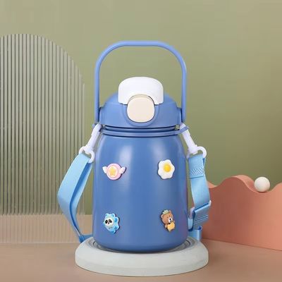 Geïsoleerde waterfles van roestvrij staal 800 ml capaciteit Flip-top deksel BPA-vrij met stro