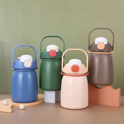 Geïsoleerde waterfles van roestvrij staal 800 ml capaciteit Flip-top deksel BPA-vrij met stro