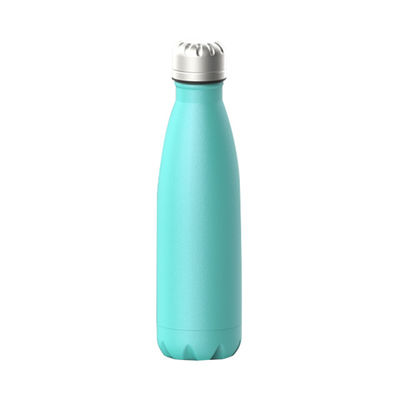 Geïsoleerde waterfles van roestvrij staal 350 ml 500 ml 750 ml 1000 ml voor modern ontwerp