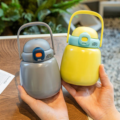 Aangepaste waterfles van roestvrij staal geïsoleerd voor schoolkinderen 450 ml capaciteit herbruikbaar