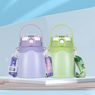 Outdoor-stijl Custom Double Wall Vacuum Flask Roestvrij staal waterfles met stro