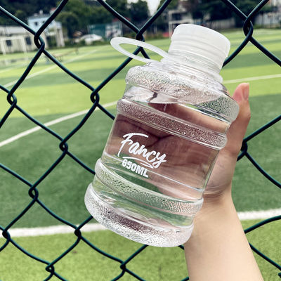 Direct Drinking 650ml Custom Logo Draagbare Sport Tumbler met Handle Cute Design