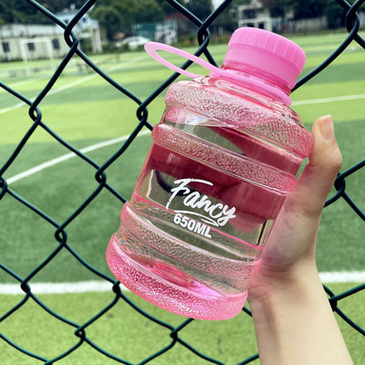 Direct Drinking 650ml Custom Logo Draagbare Sport Tumbler met Handle Cute Design