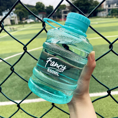 Direct Drinking 650ml Custom Logo Draagbare Sport Tumbler met Handle Cute Design