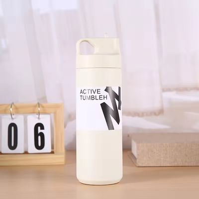 Warm en koud geïsoleerde waterfles 550 ml capaciteit roestvrij staal binnenkant stro deksel