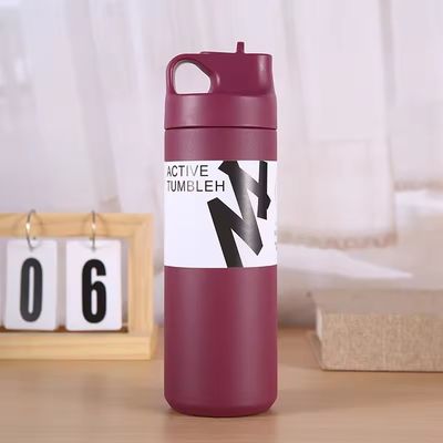 Warm en koud geïsoleerde waterfles 550 ml capaciteit roestvrij staal binnenkant stro deksel