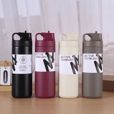 Warm en koud geïsoleerde waterfles 550 ml capaciteit roestvrij staal binnenkant stro deksel