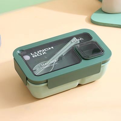Herbruikbare Draagbare Plastic Bento Lunch Box voor alle toepasselijke mensen op schoolstijl