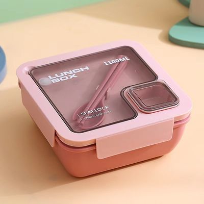 Herbruikbare Draagbare Plastic Bento Lunch Box voor alle toepasselijke mensen op schoolstijl