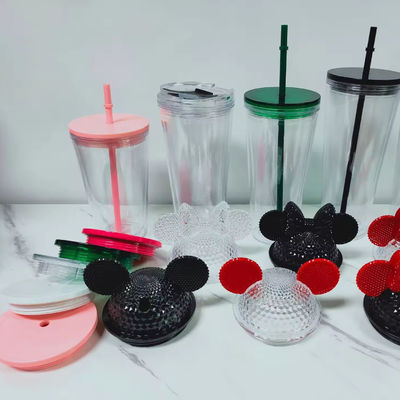 16 oz / 24 oz student sportbeker met deksel en stro Dubbelwandige plastic waterfles