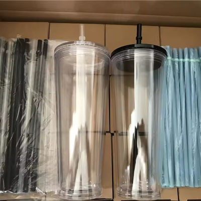 16 oz / 24 oz student sportbeker met deksel en stro Dubbelwandige plastic waterfles