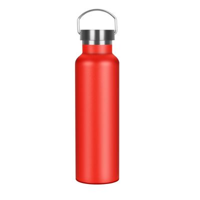 Geïsoleerde sportfles met deksel 500 ml aangepaste roestvrijstalen waterfles