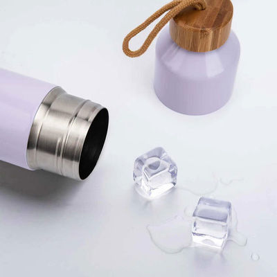 Vacuüm 500 ml Flask Thermos Draagbare lekvrije Sport Direct Thermische Drinkbekers voor iedereen