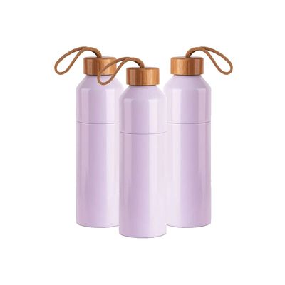 Draagbare 500 ml roestvrijstalen thermos voor reizen