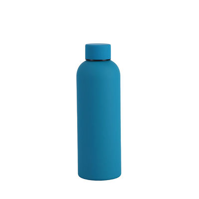 Minimalistisch ontwerp 750 ml/1000 ml Dubbelwand roestvrij staal sportwaterfles voor kamperen