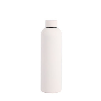 Minimalistisch ontwerp 750 ml/1000 ml Dubbelwand roestvrij staal sportwaterfles voor kamperen