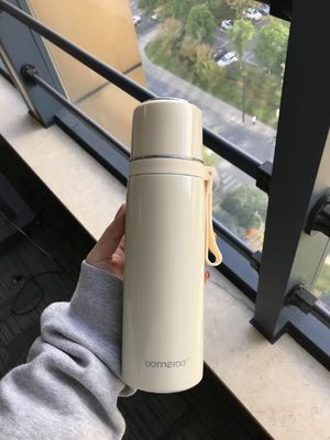 500 ml roestvrijstalen waterfles Draagbare dubbelwandige geïsoleerde waterbeker voor iedereen