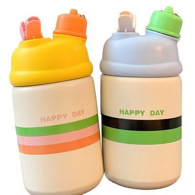 Roestvrij staal 500 ml dubbel drinkend geïsoleerd waterbeker met deksel voor OEM aanvaardbaar