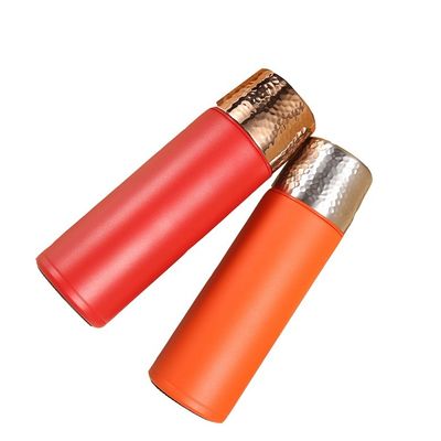 Directe levering 480 ml geïsoleerde thermosfles van roestvrij staal voor warme koude dranken