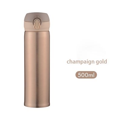 Vacuüm geïsoleerde 17oz dubbele wand tumbler met meerdere kleuren variaties te kiezen
