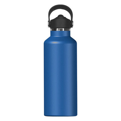 650 ml roestvrij staal geïsoleerde waterfles Modern ontwerp voor actieve kinderen en buiten