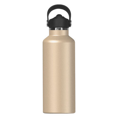 650 ml roestvrij staal geïsoleerde waterfles Modern ontwerp voor actieve kinderen en buiten