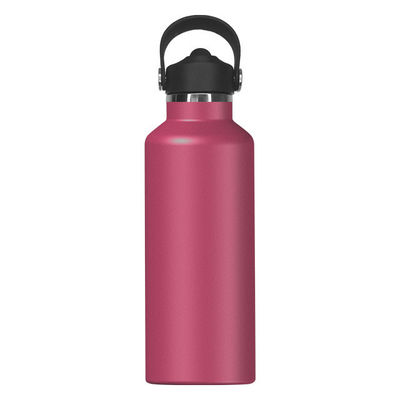 Draagbare 650 ml roestvrijstalen geïsoleerde waterfles voor sportlandschapsstijl