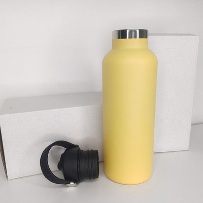 Draagbare 650 ml roestvrijstalen geïsoleerde waterfles voor sportlandschapsstijl