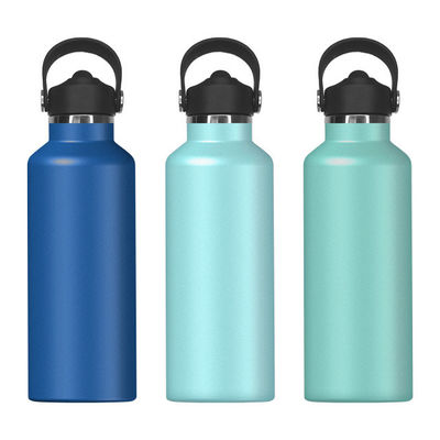 Draagbare 650 ml roestvrijstalen geïsoleerde waterfles voor sportlandschapsstijl