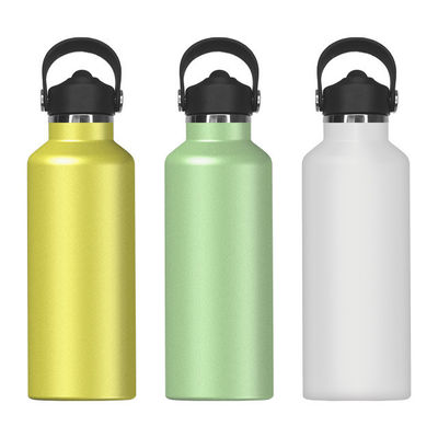 Draagbare 650 ml roestvrijstalen geïsoleerde waterfles voor sportlandschapsstijl