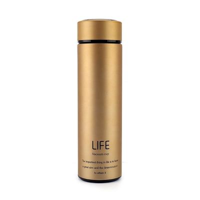Vacuümflessen 500 ml roestvrijstalen thee thermos geïsoleerde drinkfles met filter