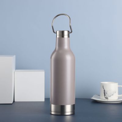 304/201 roestvrij staal Geïsoleerde fles 500 ml Modern ontwerp Dubbelwand Vacuüm Thermisch