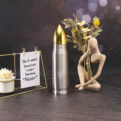 500 ml kogel dubbele wand vacuümfles voor wandelen en kamperen