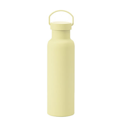 CLASSIC Design Style Roestvrij staal geïsoleerde waterfles met handvat Eco-vriendelijk