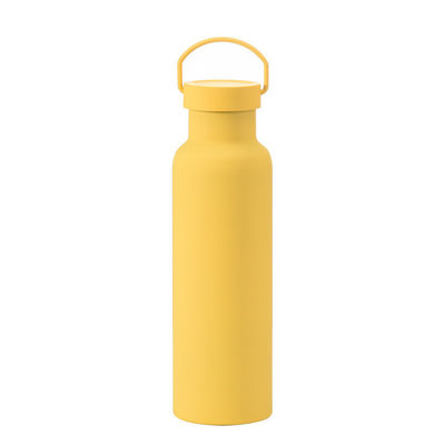 CLASSIC Design Style Roestvrij staal geïsoleerde waterfles met handvat Eco-vriendelijk