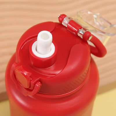 700 ml roestvrijstalen geïsoleerde thermos met stroofdeksel duurzaam en alles in één